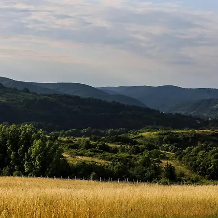 Villa Horizont Hillside